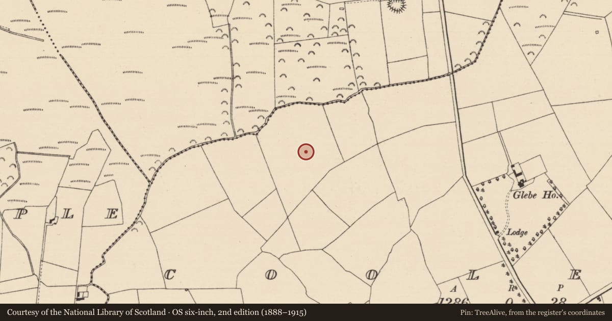 Ordnance Survey six-inch map, 2nd edition (1888–1915) covering the location of Ring-ditch, Cooleeny, County Tipperary North, with a pin at the register's coordinates