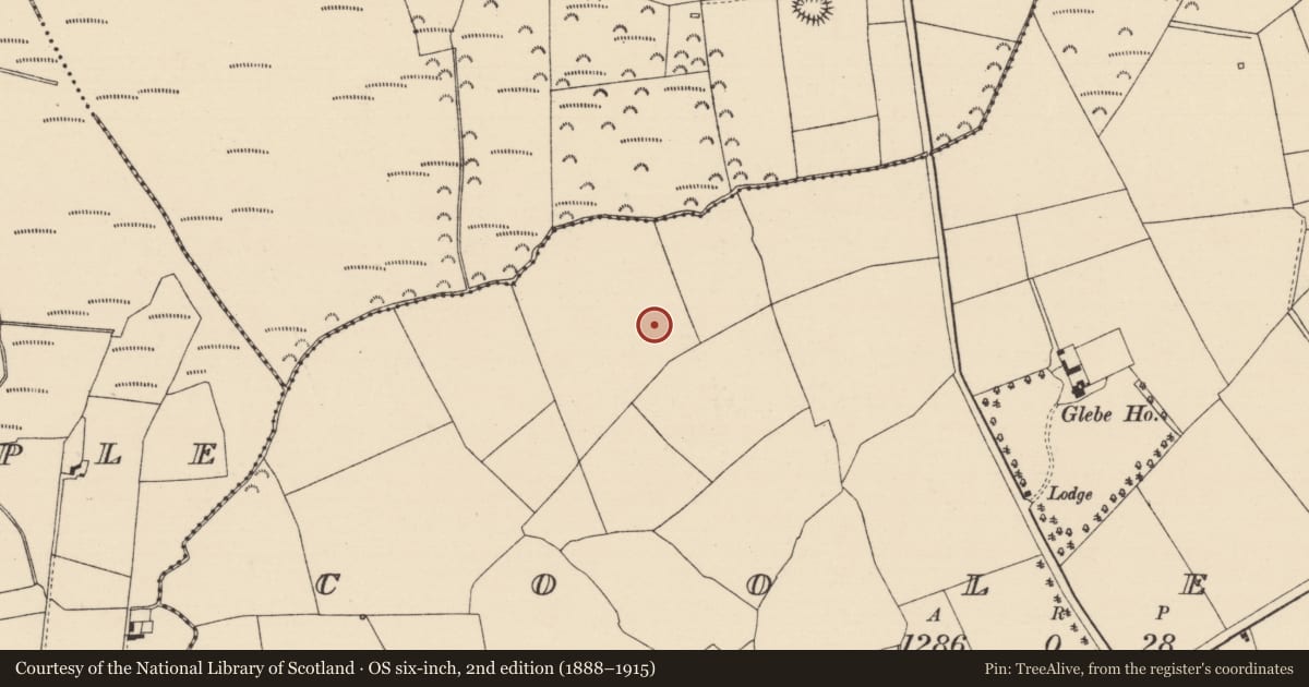 Ordnance Survey six-inch map, 2nd edition (1888–1915) covering the location of Ring-ditch, Cooleeny, County Tipperary North, with a pin at the register's coordinates