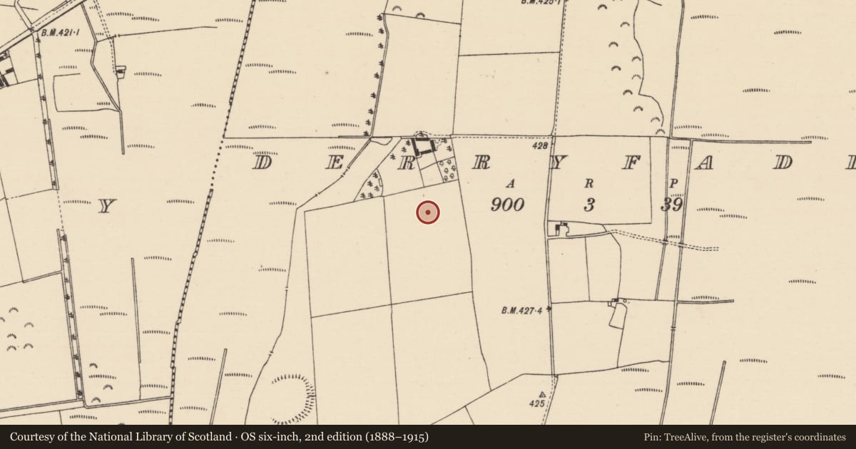 Ordnance Survey six-inch map, 2nd edition (1888–1915) covering the location of Ring-ditch, Derryfadda, County Tipperary North, with a pin at the register's coordinates