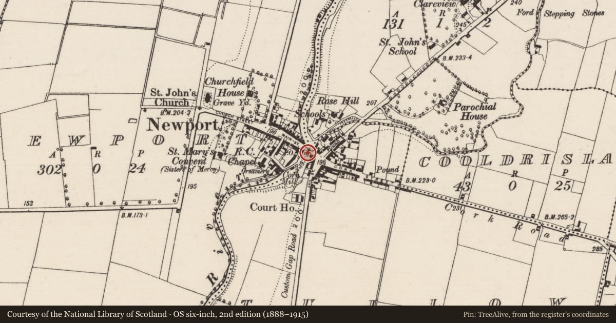 Ordnance Survey six-inch map, 2nd edition (1888–1915) covering the location of Bridge, Newport, Tullow (Kilvellane Par.), County Tipperary North, with a pin at the register's coordinates