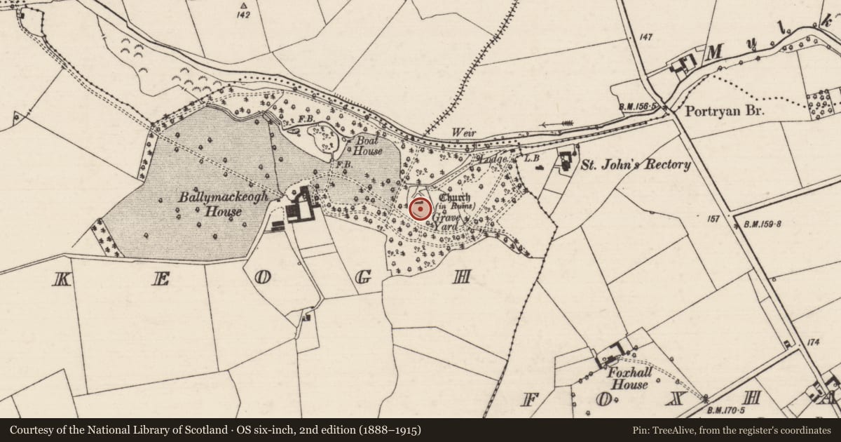Ordnance Survey six-inch map, 2nd edition (1888–1915) covering the location of Graveyard, Ballymackeogh, County Tipperary North, with a pin at the register's coordinates