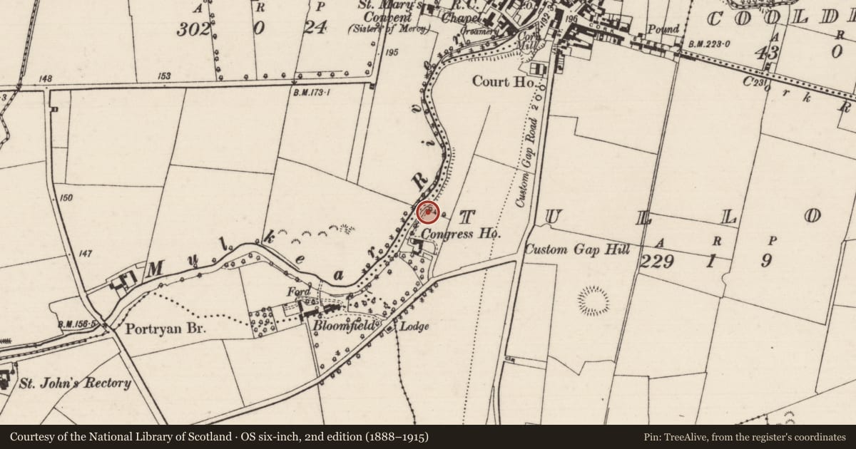 Ordnance Survey six-inch map, 2nd edition (1888–1915) covering the location of Water mill - unclassified, Tullow (Kilvellane Par.), County Tipperary North, with a pin at the register's coordinates