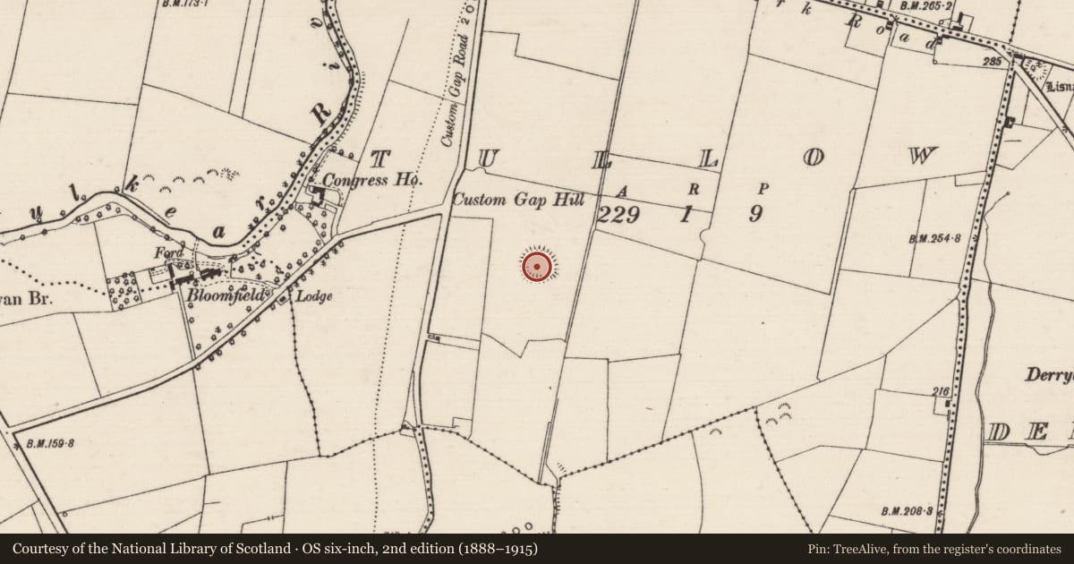 Ordnance Survey six-inch map, 2nd edition (1888–1915) covering the location of Ringfort - rath, Tullow (Kilvellane Par.), County Tipperary North, with a pin at the register's coordinates