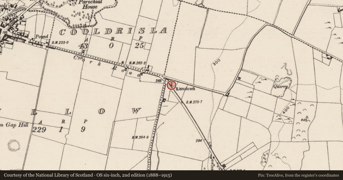 Ordnance Survey six-inch map, 2nd edition (1888–1915) covering the location of Ringfort - rath, Derryleigh, County Tipperary North, with a pin at the register's coordinates