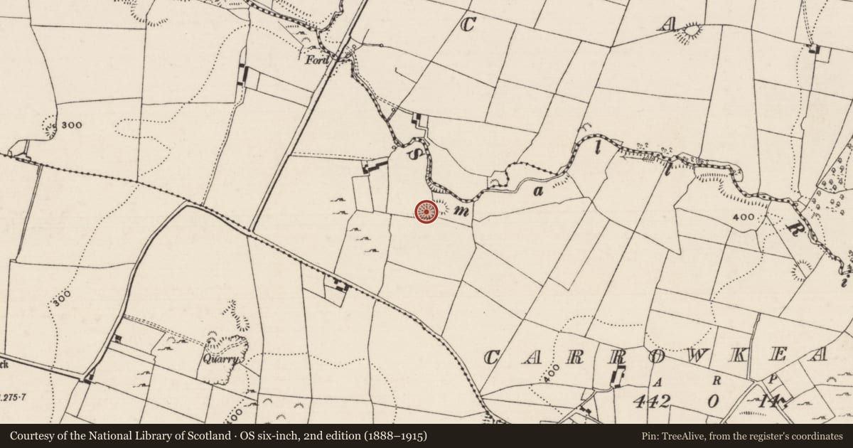 Ordnance Survey six-inch map, 2nd edition (1888–1915) covering the location of Ringfort - rath, Carrowkeale (Kilvellane Par.), County Tipperary North, with a pin at the register's coordinates