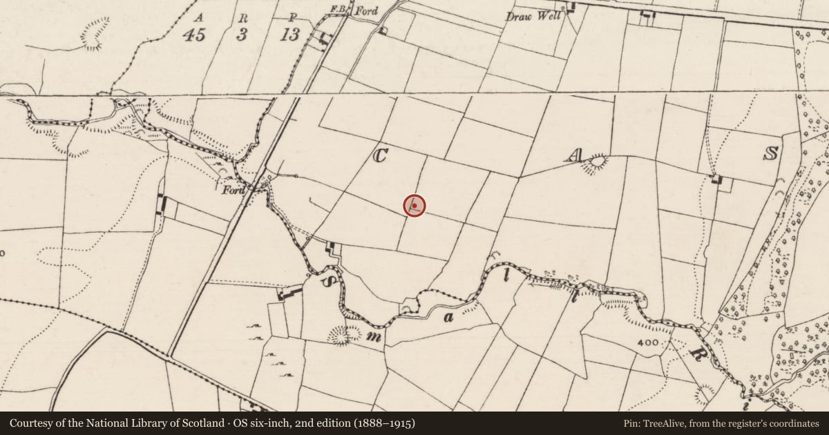Ordnance Survey six-inch map, 2nd edition (1888–1915) covering the location of Earthwork, Castlewaller, County Tipperary North, with a pin at the register's coordinates