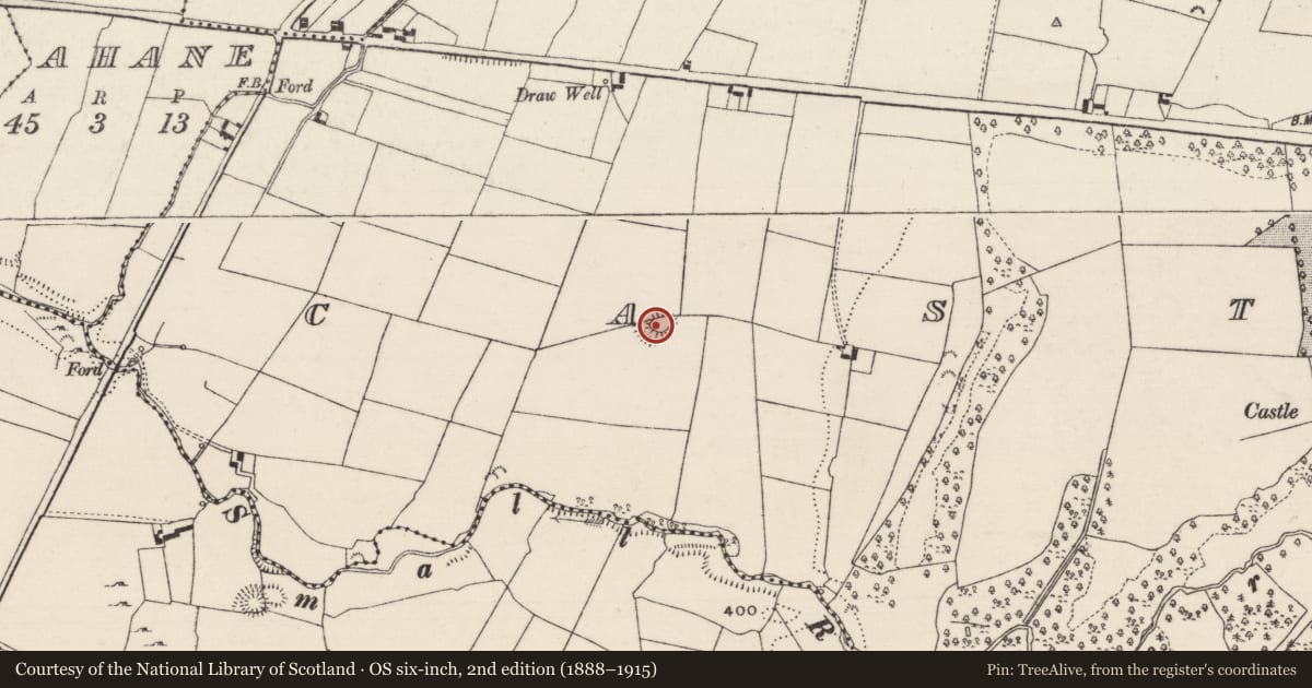 Ordnance Survey six-inch map, 2nd edition (1888–1915) covering the location of Ringfort - rath, Castlewaller, County Tipperary North, with a pin at the register's coordinates