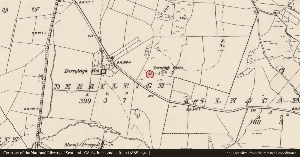 Ordnance Survey six-inch map, 2nd edition (1888–1915) covering the location of Castle - unclassified, Derryleigh, County Tipperary North, with a pin at the register's coordinates