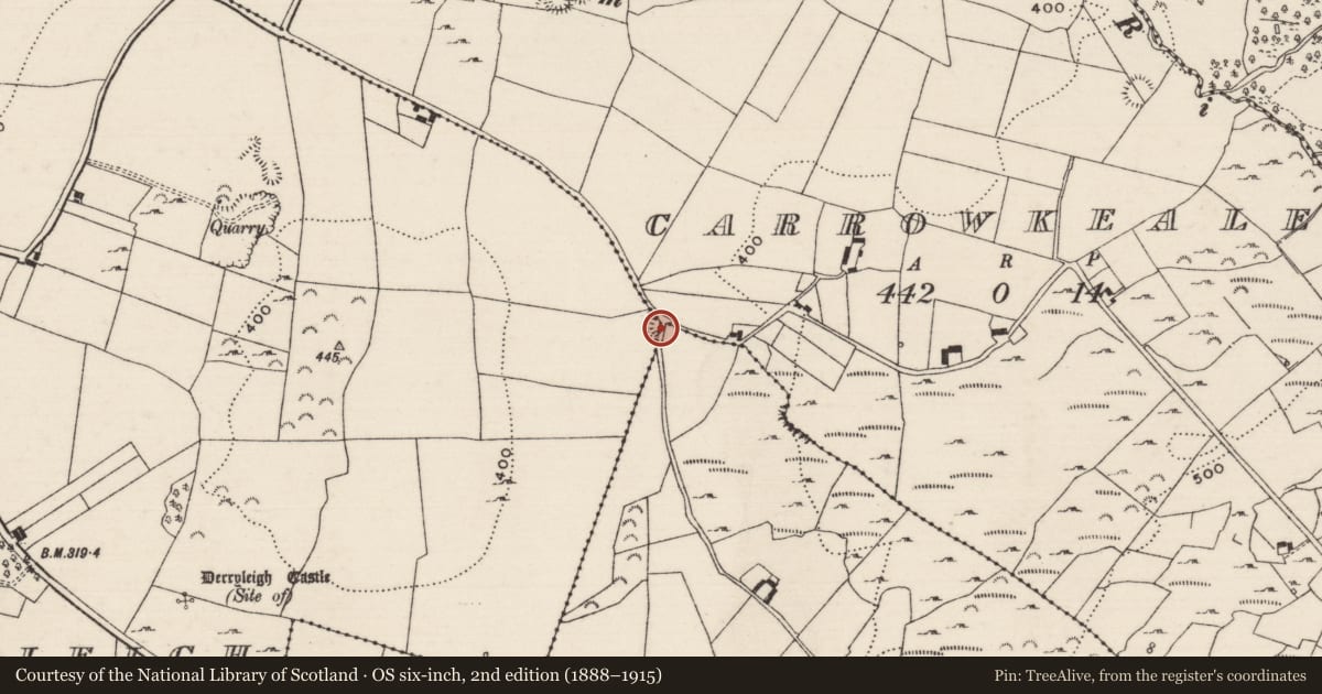 Ordnance Survey six-inch map, 2nd edition (1888–1915) covering the location of Ringfort - rath, County Tipperary North, with a pin at the register's coordinates