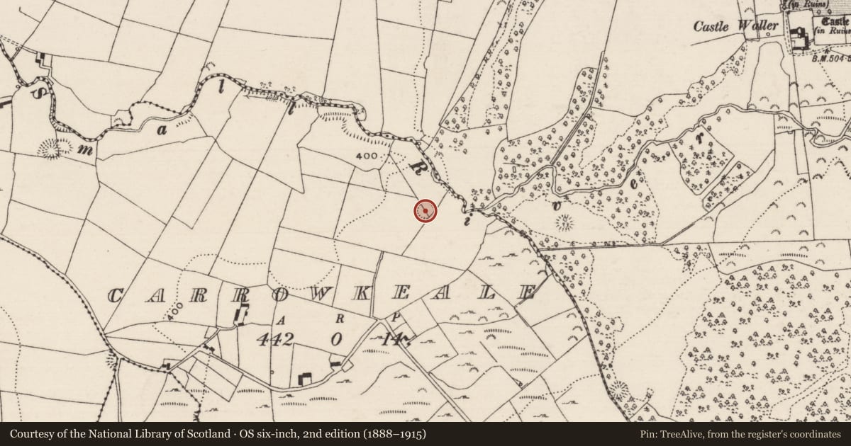 Ordnance Survey six-inch map, 2nd edition (1888–1915) covering the location of Ringfort - rath, Carrowkeale (Kilvellane Par.), County Tipperary North, with a pin at the register's coordinates