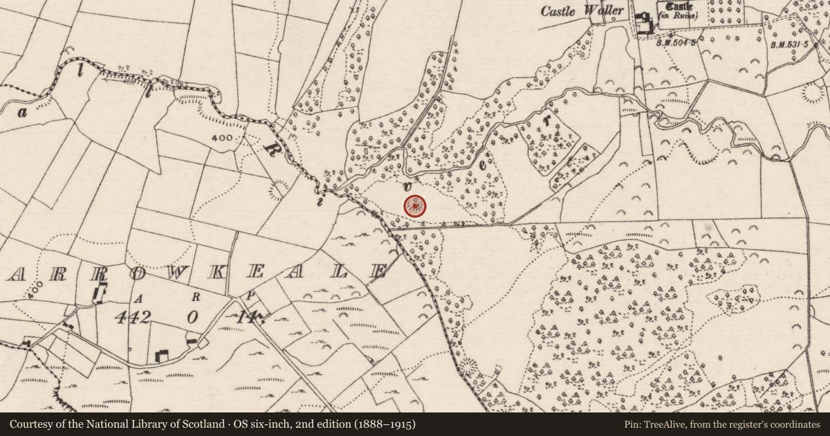 Ordnance Survey six-inch map, 2nd edition (1888–1915) covering the location of Barrow - mound barrow, Castlewaller, County Tipperary North, with a pin at the register's coordinates