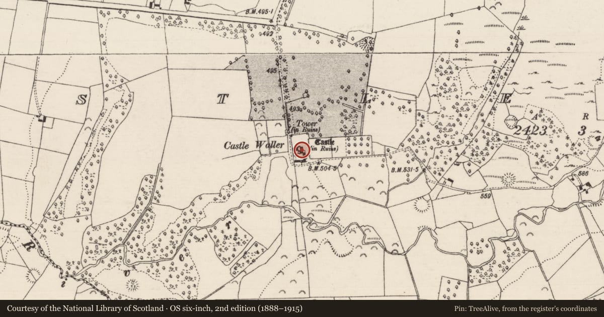 Ordnance Survey six-inch map, 2nd edition (1888–1915) covering the location of Castle - unclassified, Castlewaller, County Tipperary North, with a pin at the register's coordinates