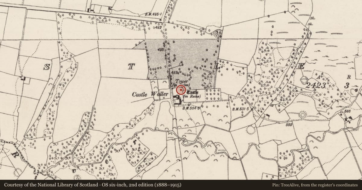Ordnance Survey six-inch map, 2nd edition (1888–1915) covering the location of Bawn, Castlewaller, County Tipperary North, with a pin at the register's coordinates