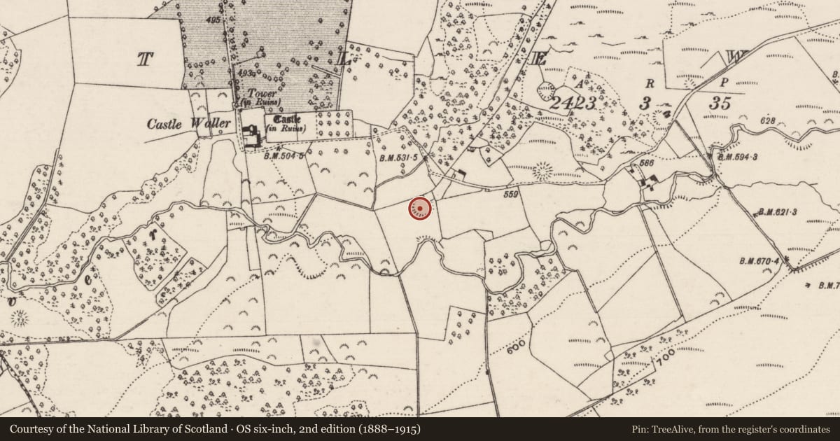 Ordnance Survey six-inch map, 2nd edition (1888–1915) covering the location of Ringfort - rath, Castlewaller, County Tipperary North, with a pin at the register's coordinates