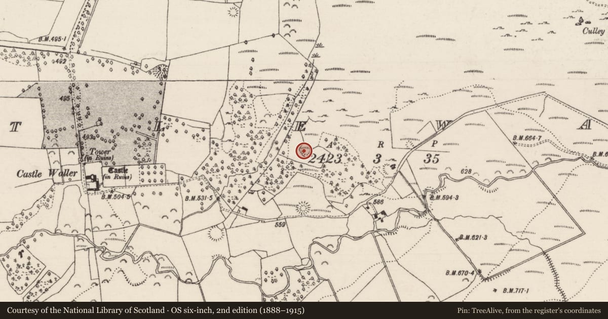 Ordnance Survey six-inch map, 2nd edition (1888–1915) covering the location of Enclosure, Castlewaller, County Tipperary North, with a pin at the register's coordinates