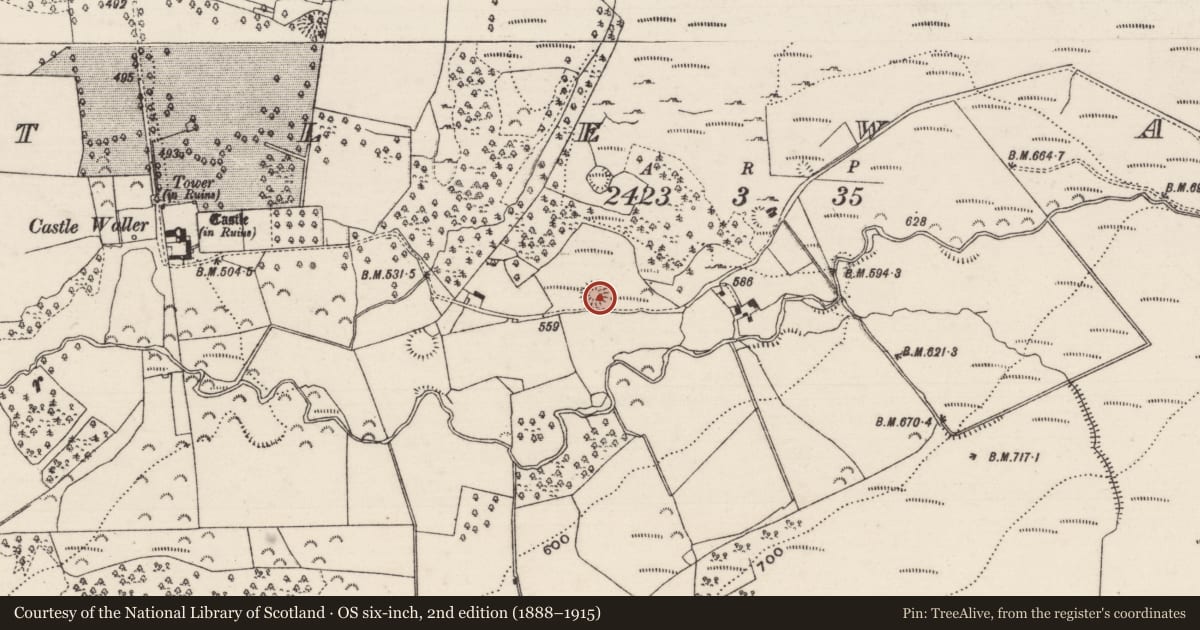Ordnance Survey six-inch map, 2nd edition (1888–1915) covering the location of Ringfort - cashel, Castlewaller, County Tipperary North, with a pin at the register's coordinates
