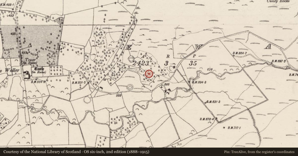 Ordnance Survey six-inch map, 2nd edition (1888–1915) covering the location of Enclosure, Castlewaller, County Tipperary North, with a pin at the register's coordinates