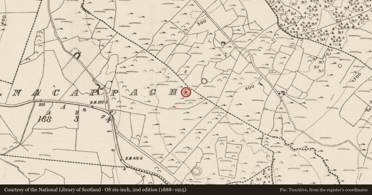 Ordnance Survey six-inch map, 2nd edition (1888–1915) covering the location of Ringfort - cashel, Kilnacappagh, County Tipperary North, with a pin at the register's coordinates