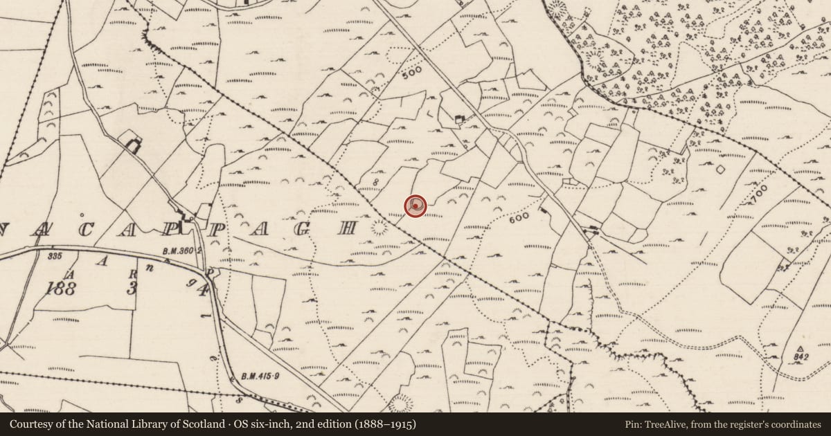 Ordnance Survey six-inch map, 2nd edition (1888–1915) covering the location of Ringfort - cashel, Carrowkeale (Kilvellane Par.), County Tipperary North, with a pin at the register's coordinates