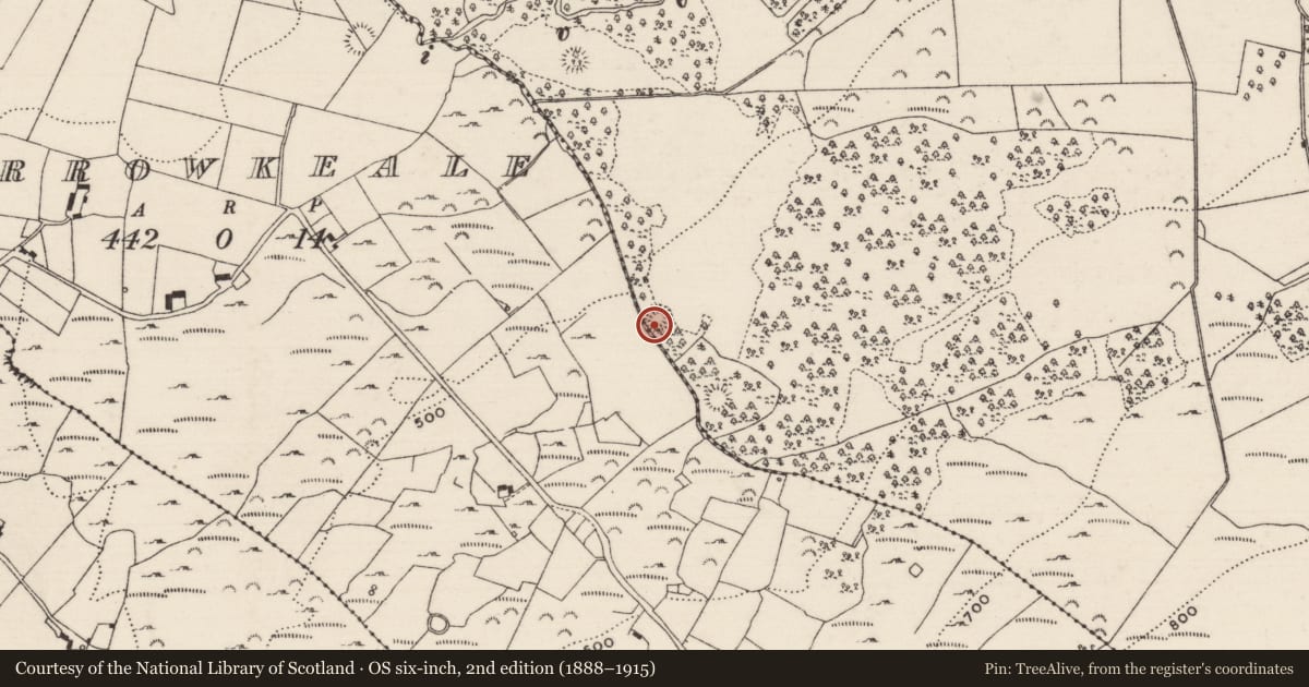 Ordnance Survey six-inch map, 2nd edition (1888–1915) covering the location of Ringfort - cashel, Carrowkeale (Kilvellane Par.), Castlewaller, County Tipperary North, with a pin at the register's coordinates