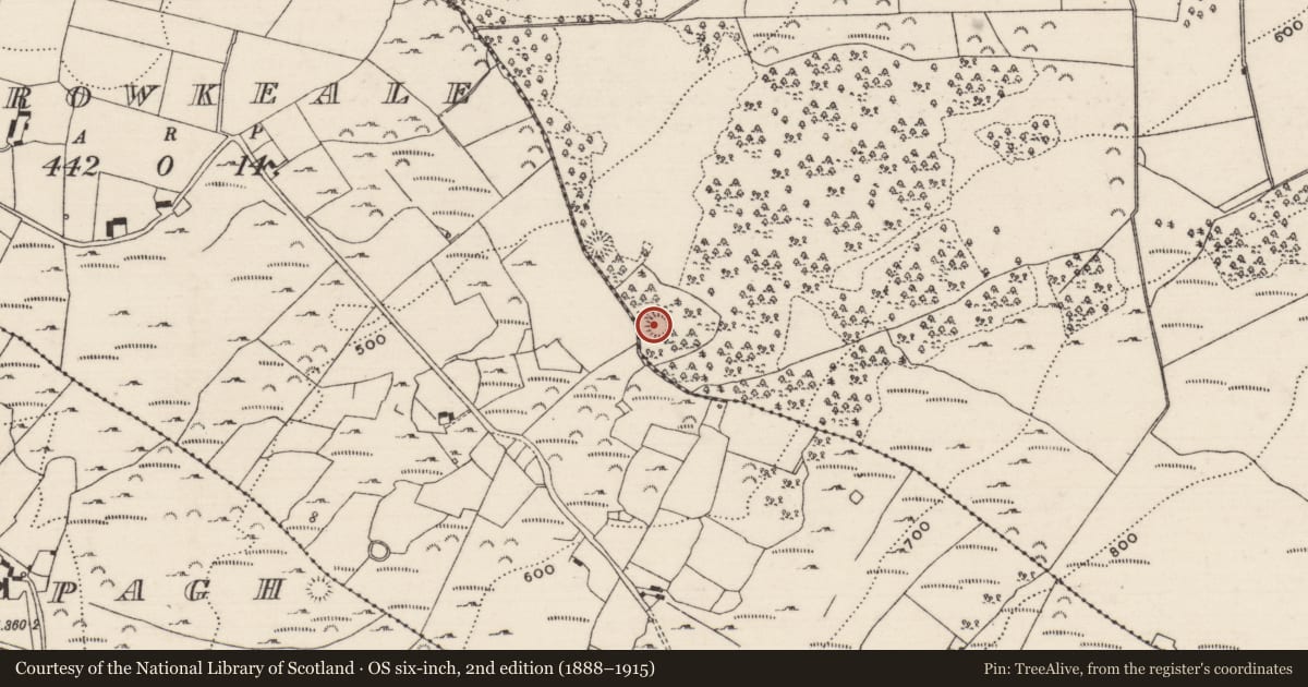Ordnance Survey six-inch map, 2nd edition (1888–1915) covering the location of Ringfort - cashel, Castlewaller, County Tipperary North, with a pin at the register's coordinates