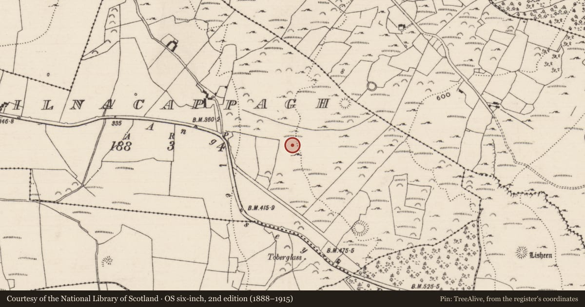 Ordnance Survey six-inch map, 2nd edition (1888–1915) covering the location of Enclosure, Kilnacappagh, County Tipperary North, with a pin at the register's coordinates