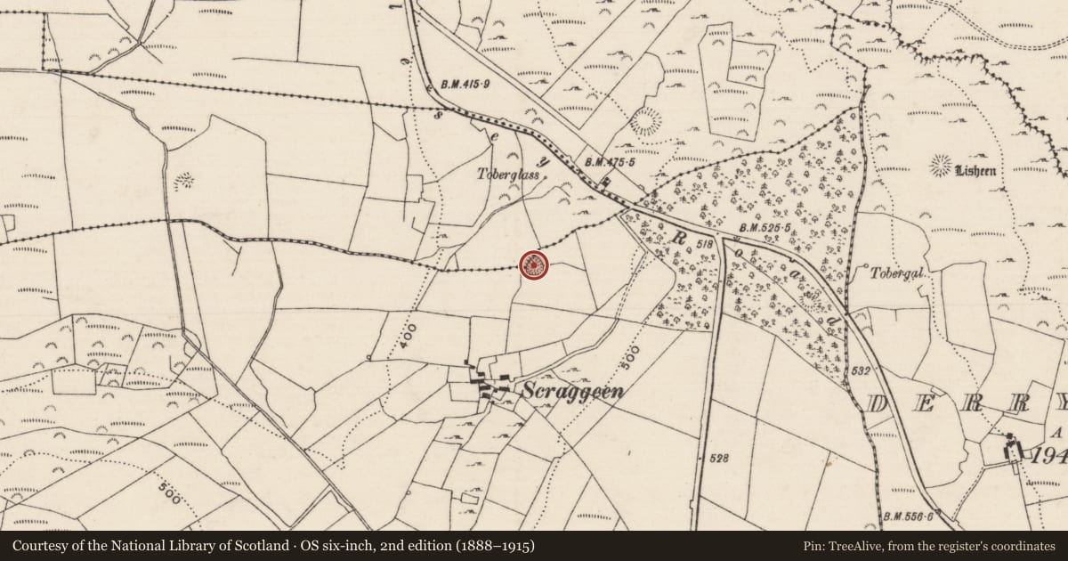 Ordnance Survey six-inch map, 2nd edition (1888–1915) covering the location of Ringfort - cashel, Derryleigh, Scraggeen, County Tipperary North, with a pin at the register's coordinates