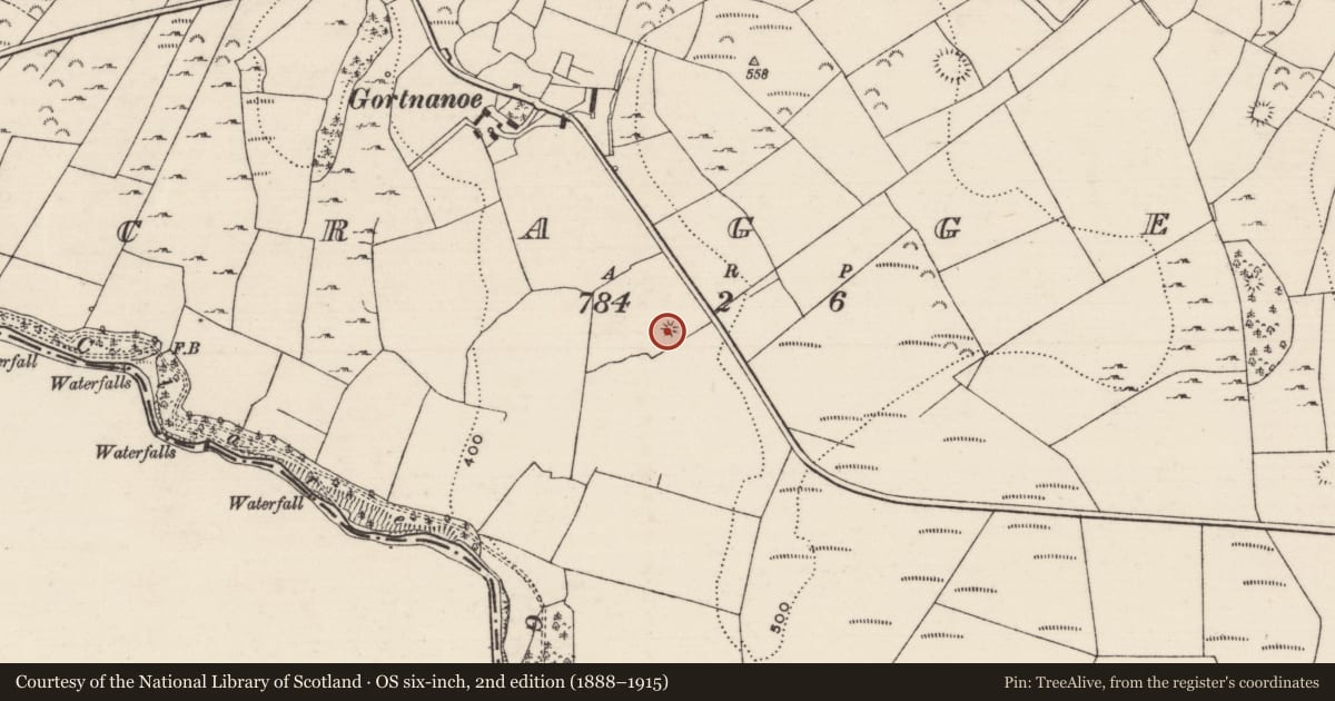 Ordnance Survey six-inch map, 2nd edition (1888–1915) covering the location of Fulacht fia, Scraggeen, County Tipperary North, with a pin at the register's coordinates