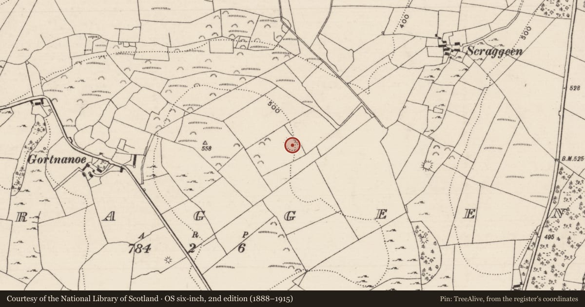 Ordnance Survey six-inch map, 2nd edition (1888–1915) covering the location of Ringfort - rath, Scraggeen, County Tipperary North, with a pin at the register's coordinates