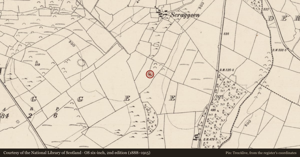 Ordnance Survey six-inch map, 2nd edition (1888–1915) covering the location of Ringfort - rath, Scraggeen, County Tipperary North, with a pin at the register's coordinates
