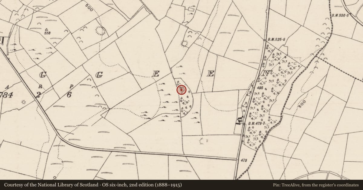 Ordnance Survey six-inch map, 2nd edition (1888–1915) covering the location of Enclosure, Scraggeen, County Tipperary North, with a pin at the register's coordinates