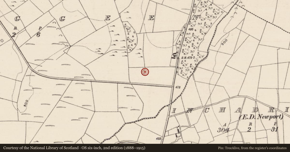 Ordnance Survey six-inch map, 2nd edition (1888–1915) covering the location of Ringfort - rath, Scraggeen, County Tipperary North, with a pin at the register's coordinates