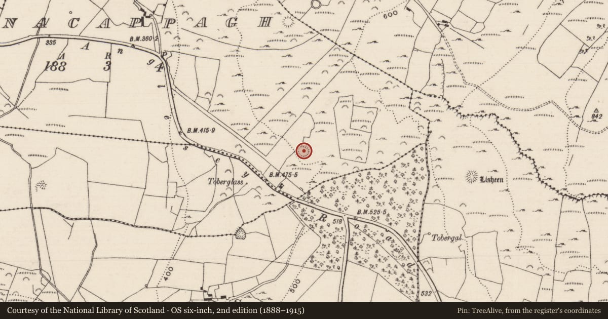 Ordnance Survey six-inch map, 2nd edition (1888–1915) covering the location of Ringfort - cashel, Kilnacappagh, County Tipperary North, with a pin at the register's coordinates