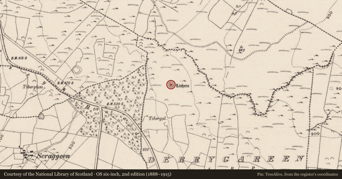 Ordnance Survey six-inch map, 2nd edition (1888–1915) covering the location of Ringfort - rath, Derrygareen, County Tipperary North, with a pin at the register's coordinates