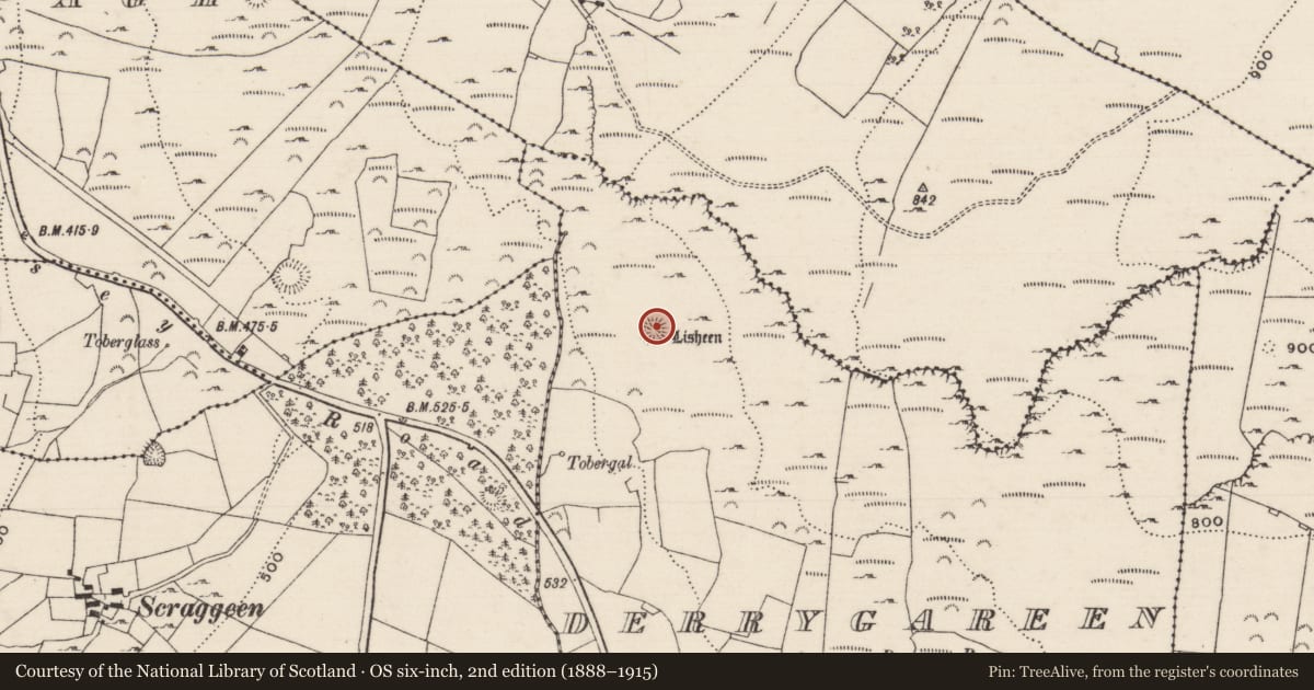 Ordnance Survey six-inch map, 2nd edition (1888–1915) covering the location of Bullaun stone, Derrygareen, County Tipperary North, with a pin at the register's coordinates