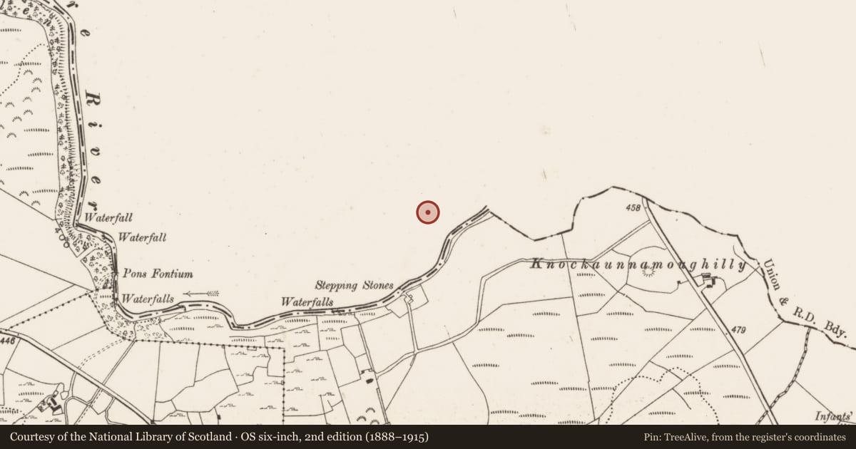 Ordnance Survey six-inch map, 2nd edition (1888–1915) covering the location of Standing stone - pair, Scraggeen, County Tipperary North, with a pin at the register's coordinates