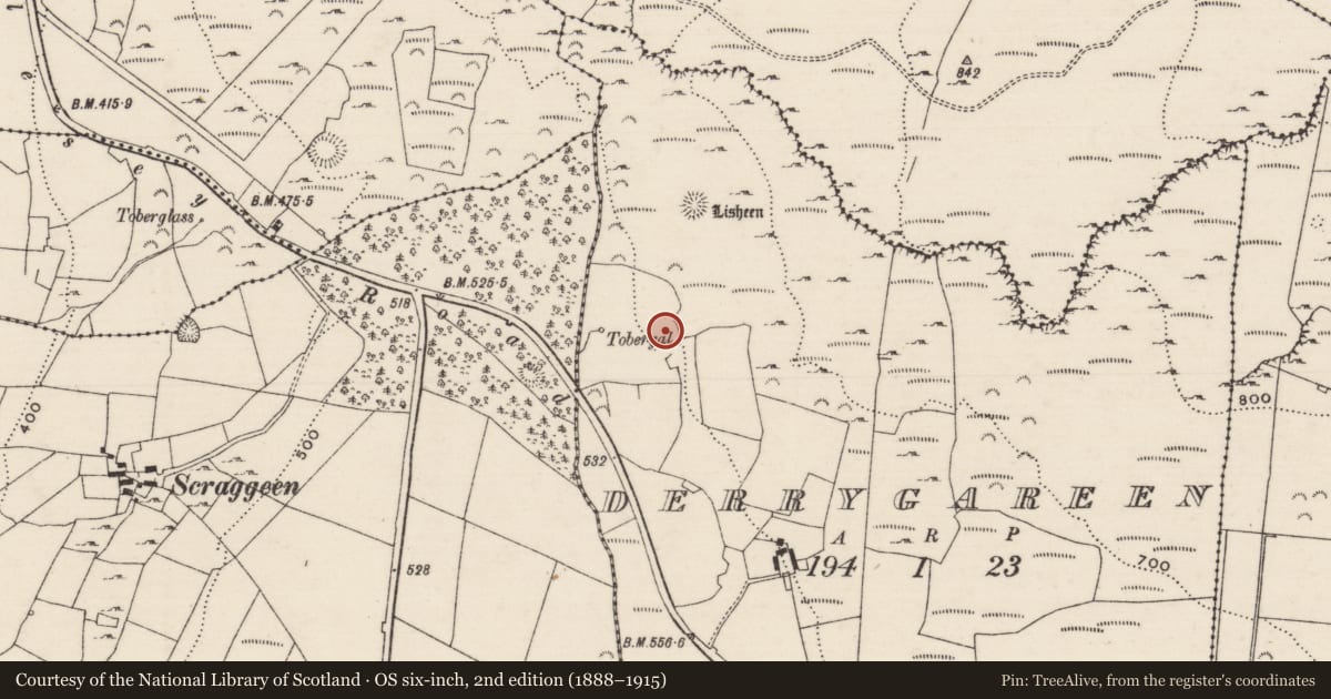 Ordnance Survey six-inch map, 2nd edition (1888–1915) covering the location of Enclosure, Derrygareen, County Tipperary North, with a pin at the register's coordinates