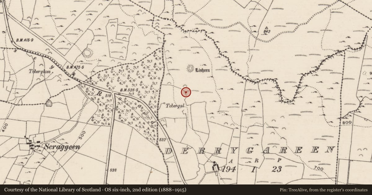 Ordnance Survey six-inch map, 2nd edition (1888–1915) covering the location of Field boundary, Derrygareen, County Tipperary North, with a pin at the register's coordinates