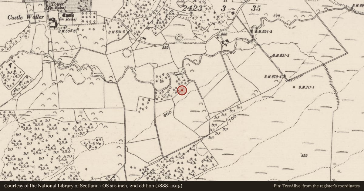 Ordnance Survey six-inch map, 2nd edition (1888–1915) covering the location of Enclosure, Castlewaller, County Tipperary North, with a pin at the register's coordinates