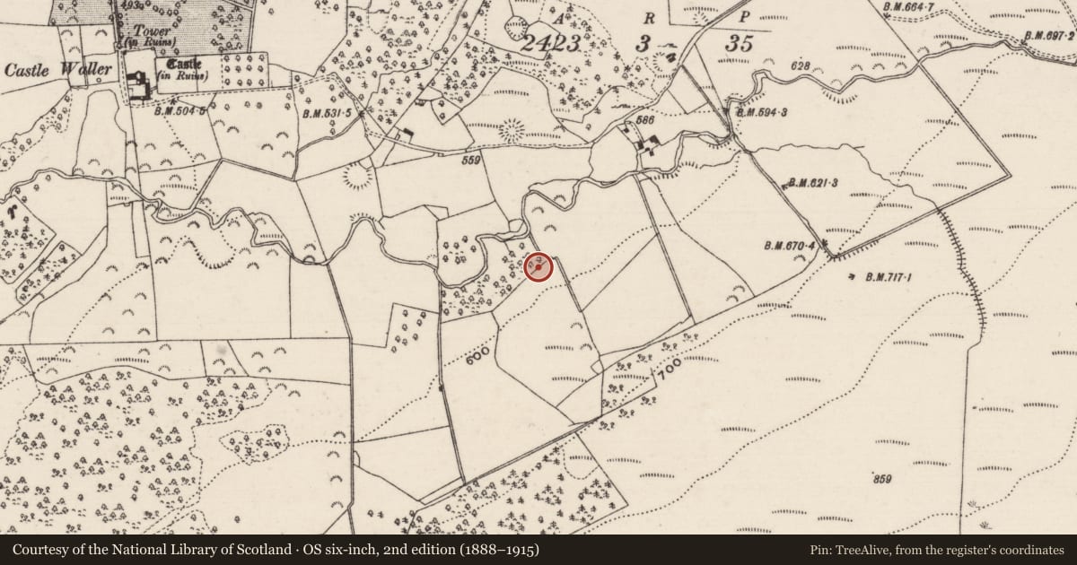Ordnance Survey six-inch map, 2nd edition (1888–1915) covering the location of Enclosure, Castlewaller, County Tipperary North, with a pin at the register's coordinates