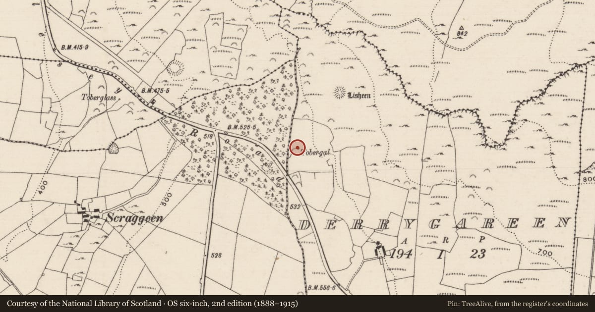 Ordnance Survey six-inch map, 2nd edition (1888–1915) covering the location of Ritual site - holy well, Derrygareen, County Tipperary North, with a pin at the register's coordinates