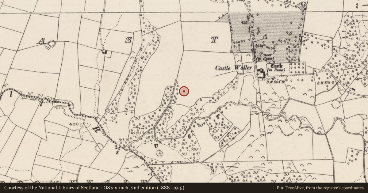 Ordnance Survey six-inch map, 2nd edition (1888–1915) covering the location of Enclosure, Castlewaller, County Tipperary North, with a pin at the register's coordinates