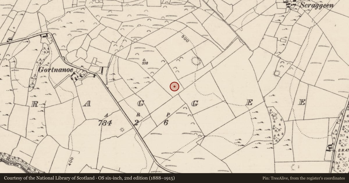 Ordnance Survey six-inch map, 2nd edition (1888–1915) covering the location of Enclosure, Scraggeen, County Tipperary North, with a pin at the register's coordinates