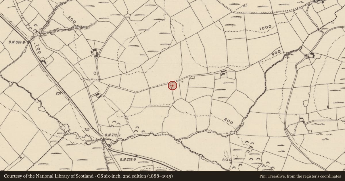 Ordnance Survey six-inch map, 2nd edition (1888–1915) covering the location of Cist, Bealaclave, County Tipperary North, with a pin at the register's coordinates