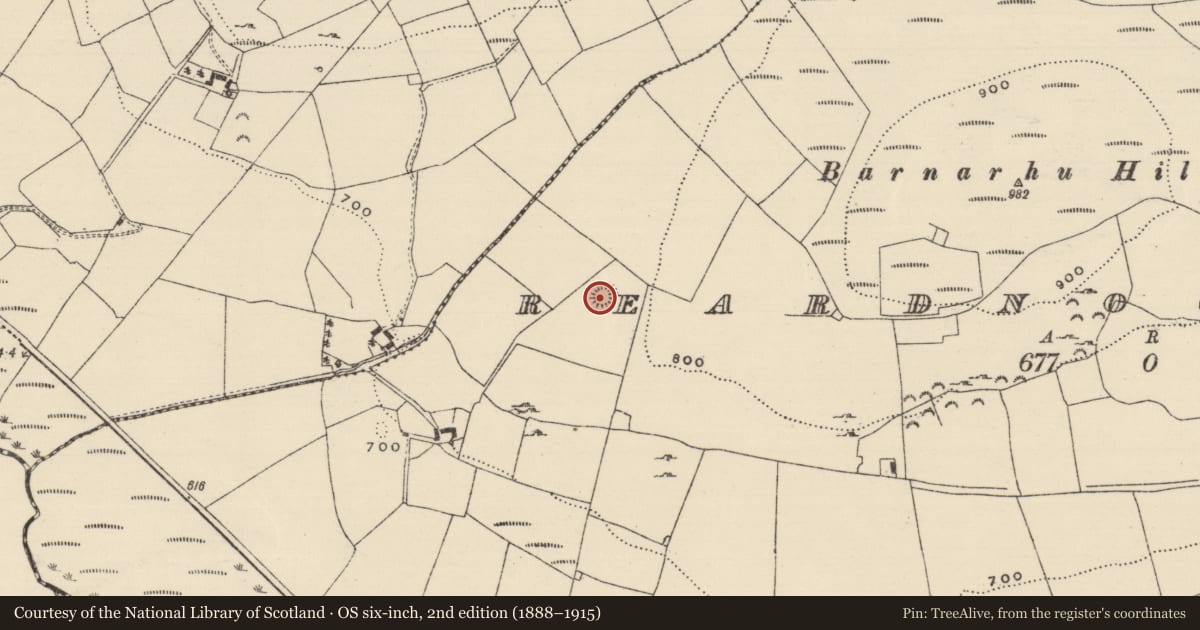Ordnance Survey six-inch map, 2nd edition (1888–1915) covering the location of Ringfort - rath, Reardnogy More, County Tipperary North, with a pin at the register's coordinates