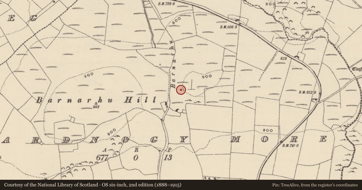 Ordnance Survey six-inch map, 2nd edition (1888–1915) covering the location of Boulder-burial, Reardnogy More, County Tipperary North, with a pin at the register's coordinates