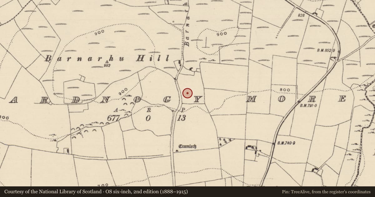 Ordnance Survey six-inch map, 2nd edition (1888–1915) covering the location of Stone circle, Reardnogy More, County Tipperary North, with a pin at the register's coordinates