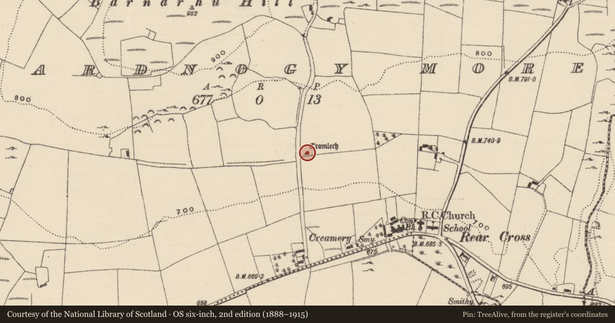 Ordnance Survey six-inch map, 2nd edition (1888–1915) covering the location of Megalithic tomb - wedge tomb, Reardnogy More, County Tipperary North, with a pin at the register's coordinates