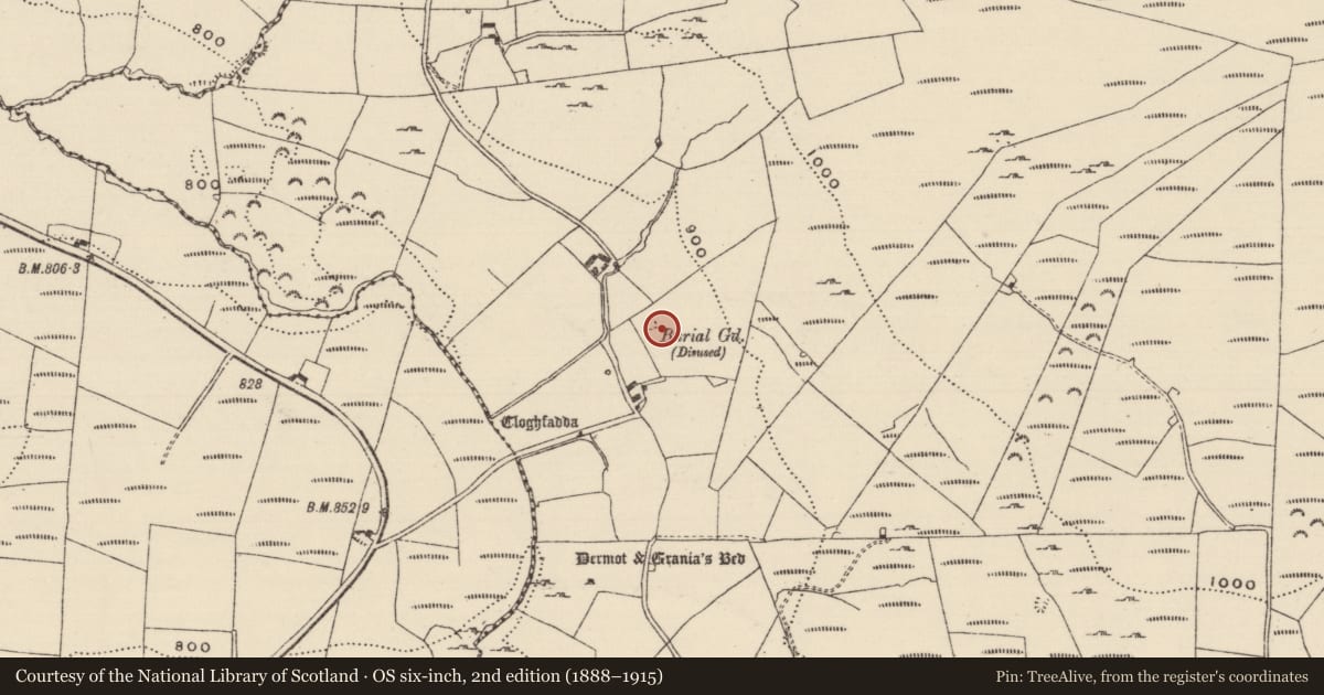 Ordnance Survey six-inch map, 2nd edition (1888–1915) covering the location of Cist, Baurnadomeeny, County Tipperary North, with a pin at the register's coordinates