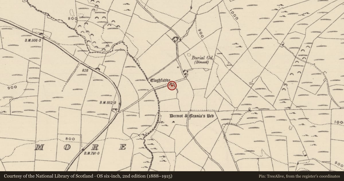 Ordnance Survey six-inch map, 2nd edition (1888–1915) covering the location of Standing stone, Baurnadomeeny, County Tipperary North, with a pin at the register's coordinates